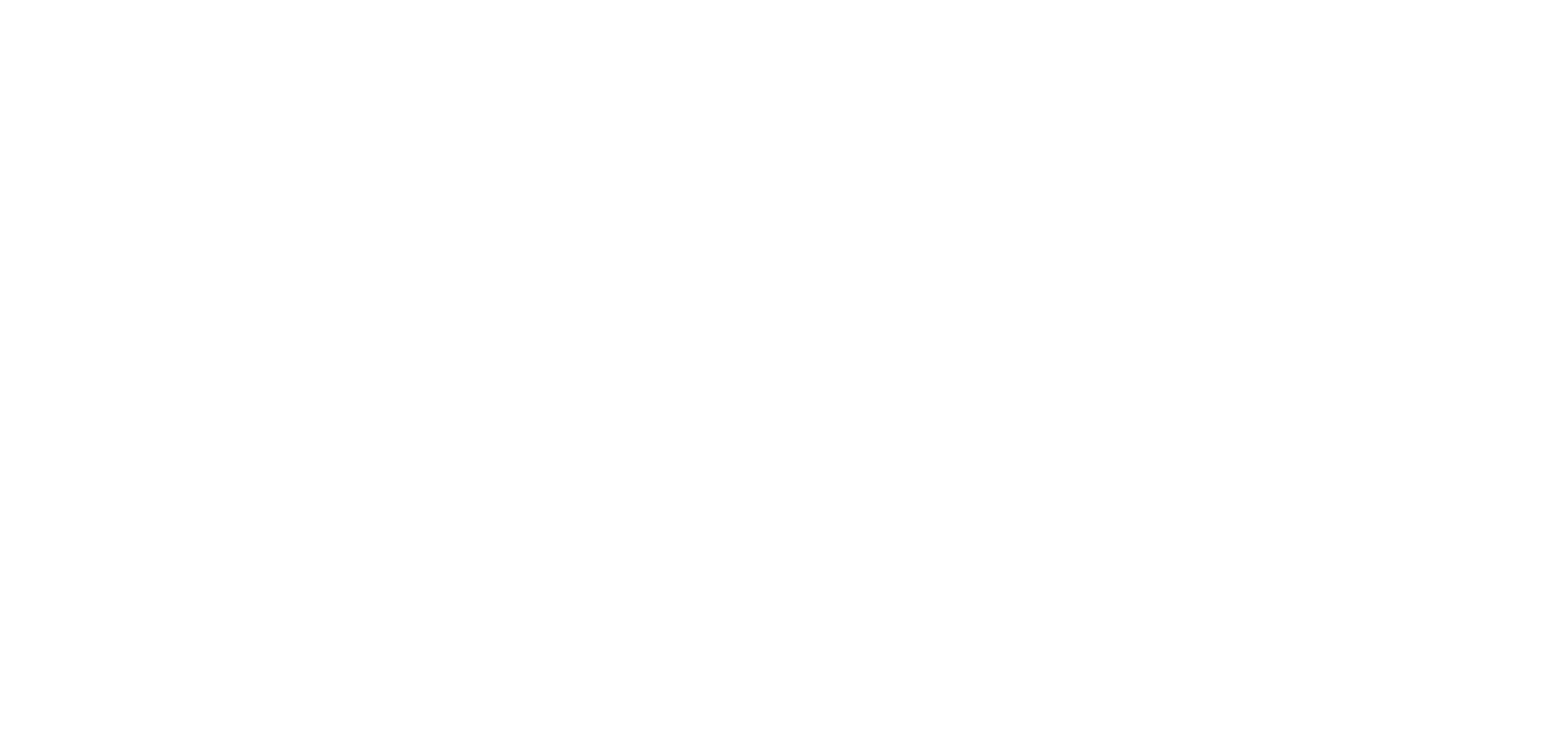 NXL Cyber Logo